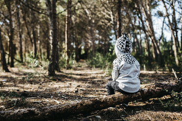 Rückenansicht eines kleinen Jungen mit Kapuzenjacke, der auf Totholz im Wald sitzt - JRFF01047