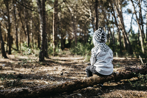 Rückenansicht eines kleinen Jungen mit Kapuzenjacke, der auf Totholz im Wald sitzt - JRFF01047