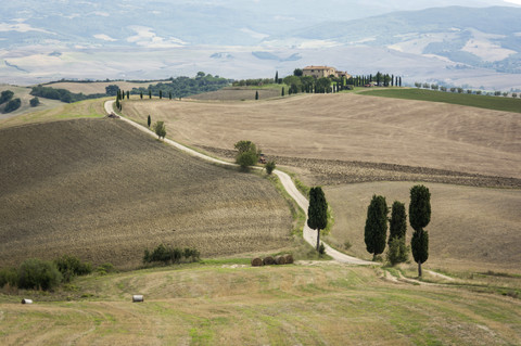 Italy, Tuscany, Val d'Orcia, tree-lined road near Pienza stock photo