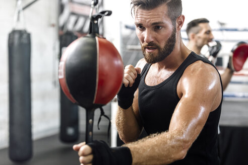 Boxer trainiert beim Punchingball - MADF01236