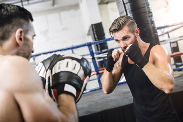 Boxer beim Sparring mit Trainer - MADF01238