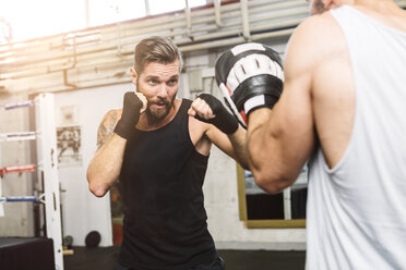 Boxer beim Sparring mit Trainer - MADF01239