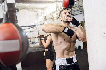 Boxer exercising at punchingball - MADF01242