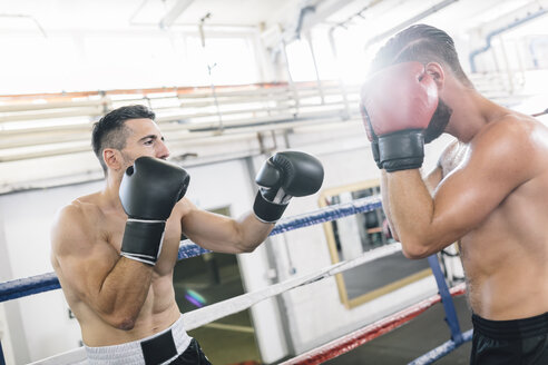 Zwei Boxer kämpfen im Boxring - MADF01248