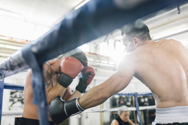 Two boxers fighting in boxing ring - MADF01249