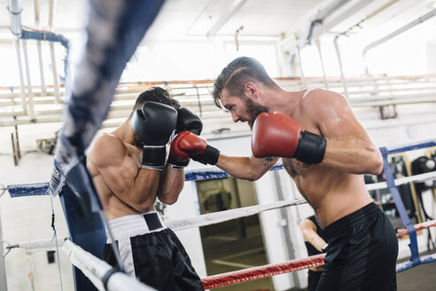 Zwei Boxer kämpfen im Boxring - MADF01250