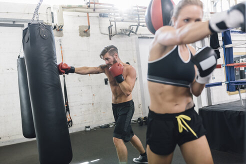 Zwei Boxer beim Training im Boxclub - MADF01271