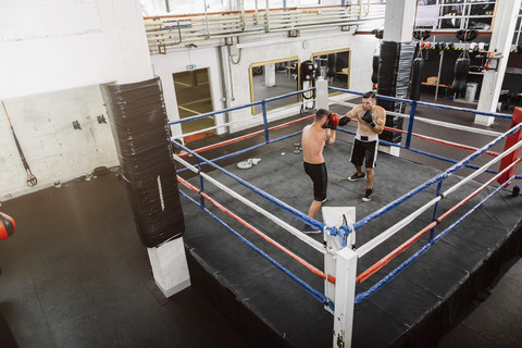 Zwei Boxer kämpfen im Boxring, lizenzfreies Stockfoto