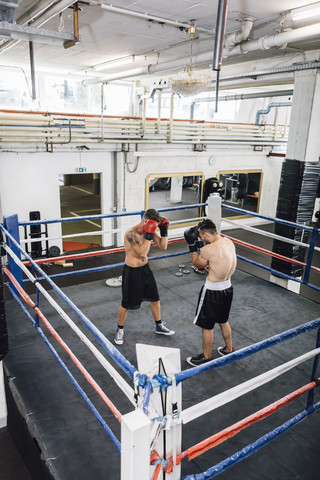 Zwei Boxer kämpfen im Boxring, lizenzfreies Stockfoto