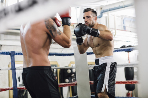 Zwei Boxer kämpfen im Boxring, lizenzfreies Stockfoto