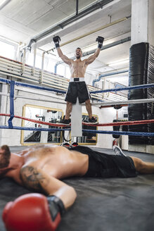 Boxer feiert den Sieg über seinen Gegner - MADF01289