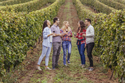 Glückliche Freunde in einem Weinberg, lizenzfreies Stockfoto