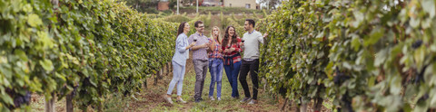 Friends in a vineyard holding glasses of red wine stock photo