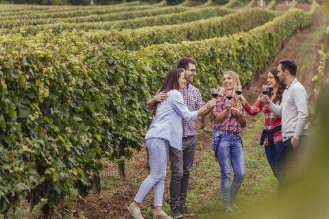 Happy friends in a vineyard stock photo