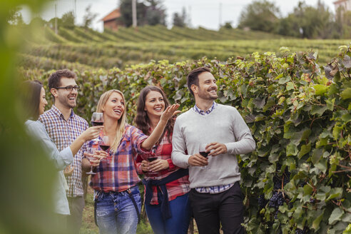 Glückliche Freunde in einem Weinberg - ZEDF00420