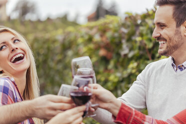 Glückliche Freunde in einem Weinberg stoßen mit Rotweingläsern an - ZEDF00421