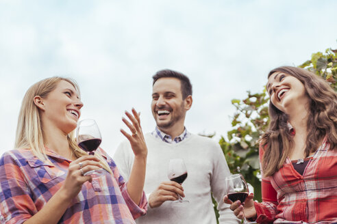 Glückliche Freunde in einem Weinberg - ZEDF00424