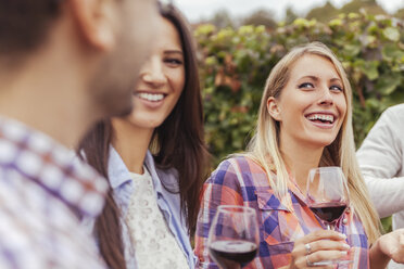 Freunde in einem Weinberg mit Gläsern Rotwein - ZEDF00425