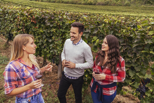 Freunde in einem Weinberg mit Gläsern Rotwein - ZEDF00426