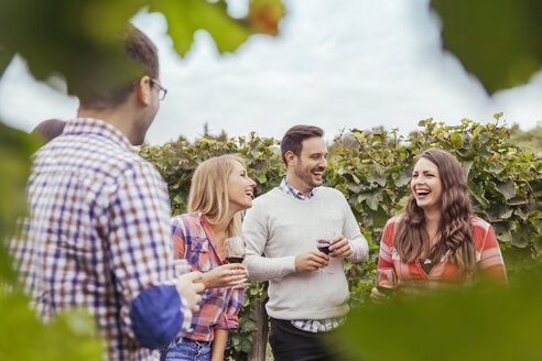 Freunde in einem Weinberg mit Gläsern Rotwein - ZEDF00431