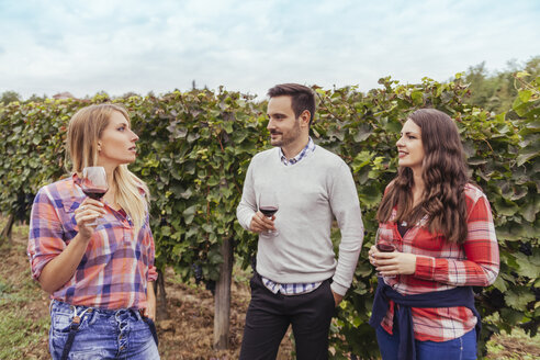 Freunde in einem Weinberg mit Gläsern Rotwein - ZEDF00432