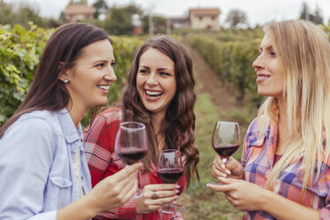 Drei glückliche junge Frauen in einem Weinberg, die Gläser mit Rotwein halten - ZEDF00433