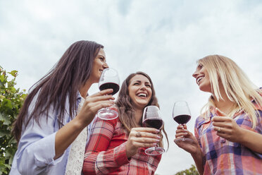 Drei glückliche junge Frauen in einem Weinberg, die Gläser mit Rotwein halten - ZEDF00434