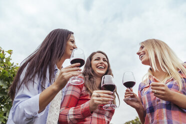 Three happy young women in a vineyard holding glasses of red wine - ZEDF00434