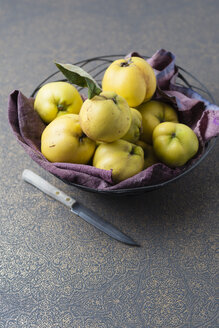 Obstschale mit Quitten und einem Messer - MYF01854