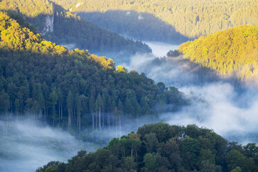 Deutschland, Baden-Württemberg, Morgennebel über der Donau bei Beuron - SIEF07148