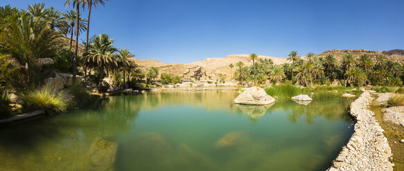 Oman, Sharqiyah, Wadi Bani Khalid - AMF05062