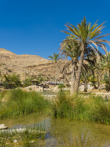 Oman, Sharqiyah, Oase im Wadi Bani Khalid, lizenzfreies Stockfoto