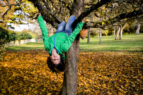 Mädchen klettert auf Baum im Herbst, lizenzfreies Stockfoto