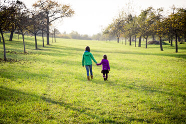 Back view of two sisters walking hand in hand on a meadow in autumn - LVF05598