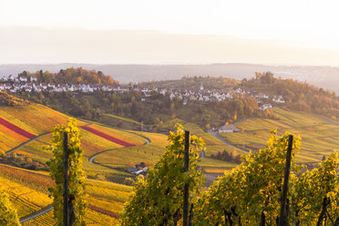 Deutschland, Stuttgart-Rotenberg, Herbstliche Weinberge - WDF03794