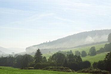 Deutschland, Baden-Württemberg, Neblige Hügel im Schwarzwald - MIDF00815