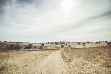 Portugal, Setubal, Field with trees - CHPF00324