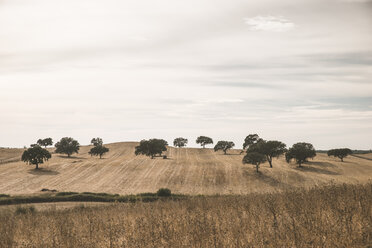 Portugal, Setubal, Field with trees - CHPF00326