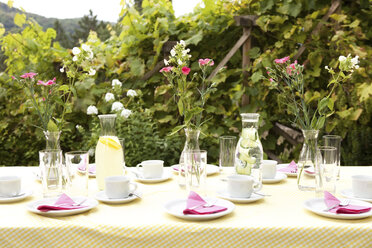 Gedeckter Tisch im Garten, dekoriert für eine Geburtstagsfeier - MFRF00725