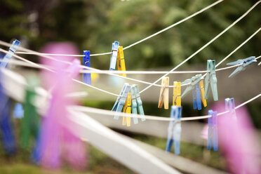 Clothes line with pegs in garden - MFRF00743