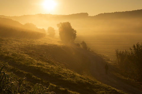 Italien, Toskana, Sonnenaufgang in hügeliger Landschaft bei Lucca, lizenzfreies Stockfoto