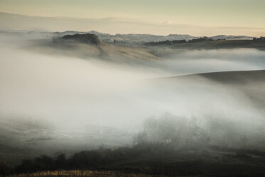 Italien, Toskana, Val d'Orcia, Hügellandschaft im Nebel - FCF01140