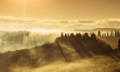 Italien, Toskana, Val d'Orcia, Landschaft im Morgennebel - FCF01144