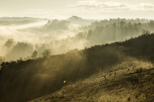 Italien, Toskana, Val d'Orcia, Landschaft im Morgennebel - FCF01145