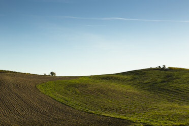 Italien, Toskana, Val d'Orcia, Hügellandschaft - FCF01148