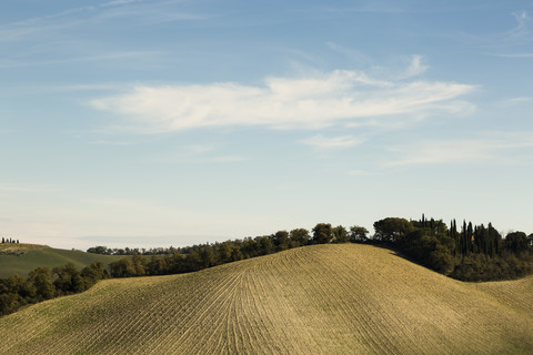 Italy, Tuscany, Val d'Orcia, rolling landscape stock photo