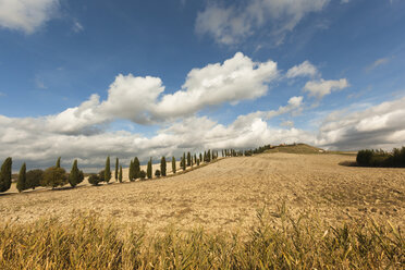 Italien, Toskana, Val d'Orcia, Hügellandschaft - FCF01152