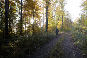 Rückenansicht eines Mannes auf einem Waldweg im Herbst - ALF00718