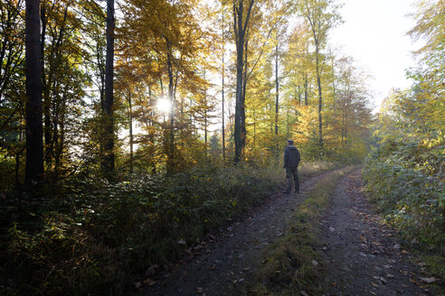 Rückenansicht eines Mannes auf einem Waldweg im Herbst - ALF00718