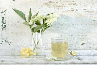 Elder flower tea, elderflowers and lemon slices - ASF06054